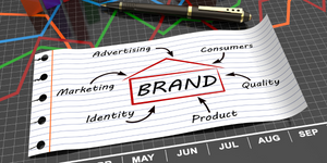 Grow Your Revenue with Effective Branding Strategies